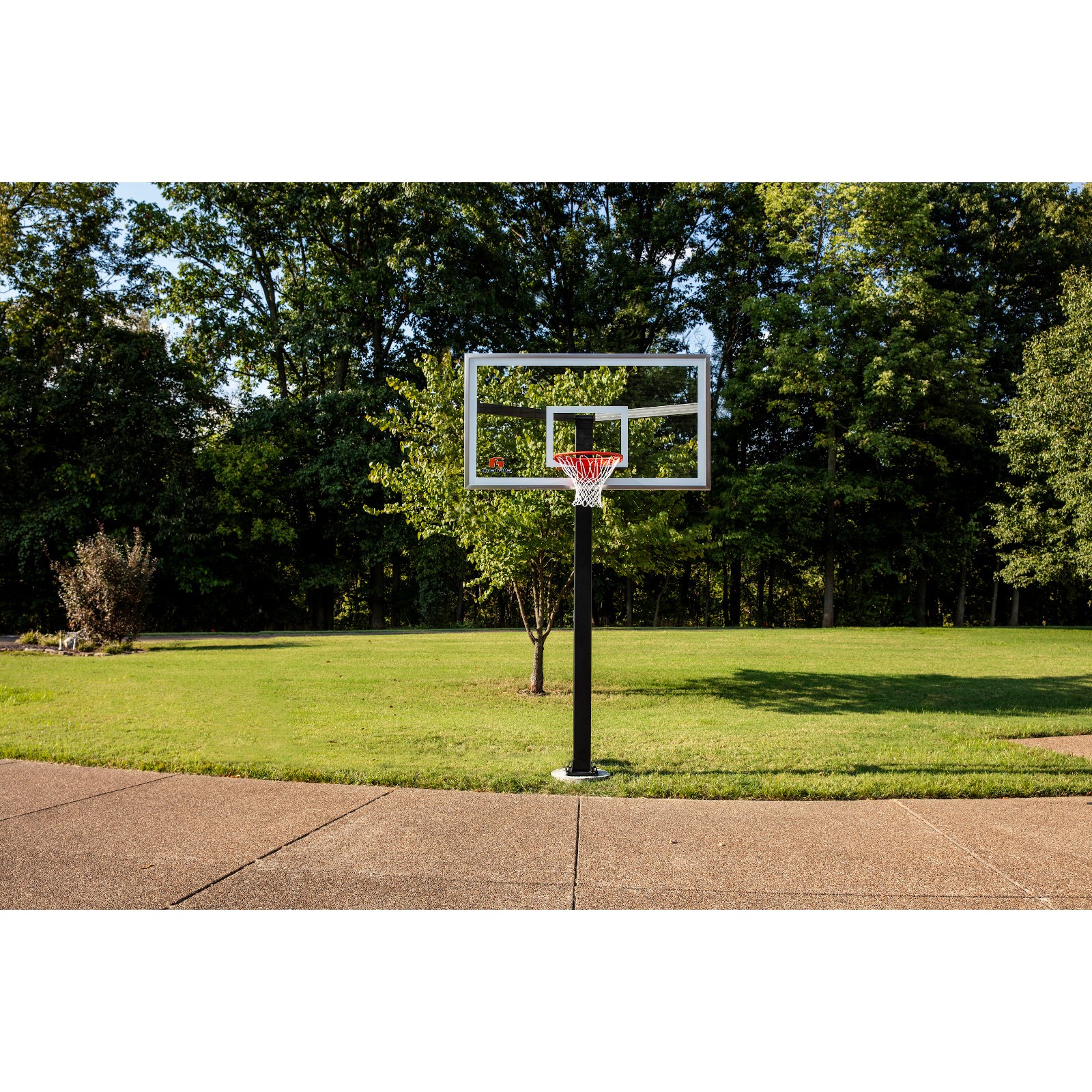 Goalrilla GS54C Basketball Hoop SportTiedje